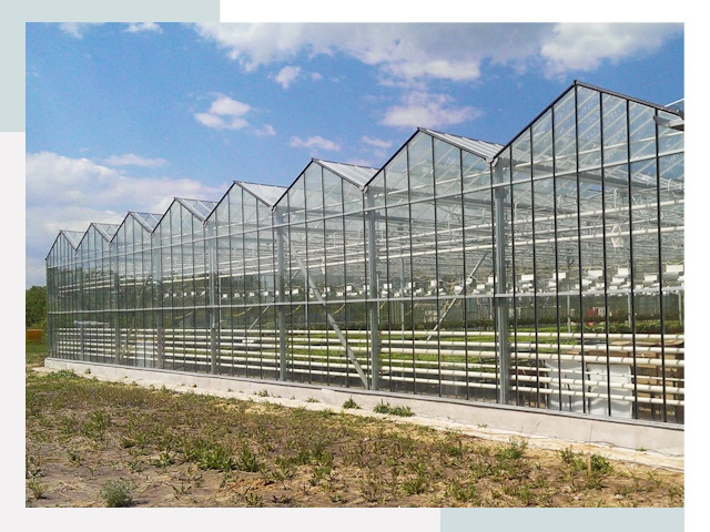 Строительство теплиц в Курск от 625 руб. за м²